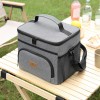 Large Foldable Cooler Bag