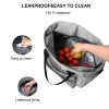 Large Insulated Lunch Tote Bag