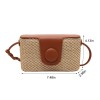 Faux Leather Straw Box Bag