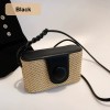Faux Leather Straw Box Bag