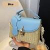 Small Straw Crossbody Bag