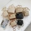 Straw Chain Box Crossbody Bag