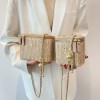 Straw Chain Box Crossbody Bag