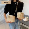 Straw Chain Box Crossbody Bag